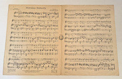 Vintage 1917, 1926 HAWAIIAN SHEET MUSIC – HAWAIIAN BUTTERFLY & HELLO, ALOHA!