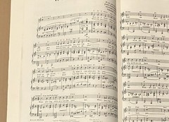 PAT BOONE SINGS Songbook 1957 Piano & Lyrics Notation -Robbins Music Corporation