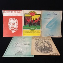Rags Waltzes Blue Skies Stardust Samba Summertime Sheet Music Lot