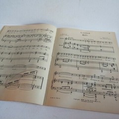 1929 VTG- Humorous Songs MUSIC BOOK~By John Wells~Boston Mass.
