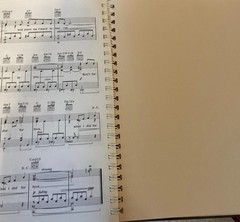 Treasury of Great Show Tunes Playing Instruction Sheet Music Readers Digest Vtg