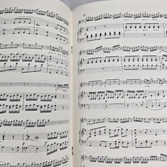 Telemann Concerto In G Major Viola Piano Sheet Music Intl Music Co Vintage