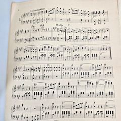 On the Beautiful Blue Danube Sheet Music Piano Johann Strauss Op 314 1901 Waltz