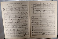 Sparrow In the Tree Top – Bob Merrill – Sheet Music 1951