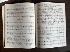 VTG – Guitar, Piano & Vocals – « 155 Songs We Love To Sing and Play » – Timeless