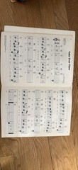 Buddy Holly Sheet Music Song Book Rock Pop Piano Organ Keyboard Collection