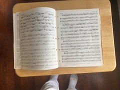 333 Classic Themes Sheet Music Melody Line/words/chord symbols 160 pages