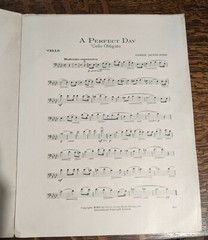 A PERFECT DAY 1914 Vintage Sheet Music LOVELY Artwork Frameable Wall Art 10&Prime;x14&Prime;