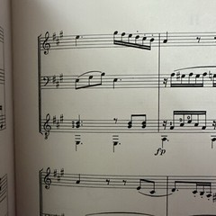Mauro Giuliani Serenata Op. 9 Classical Guitar Violin sheet Music -HTF 45 Pages