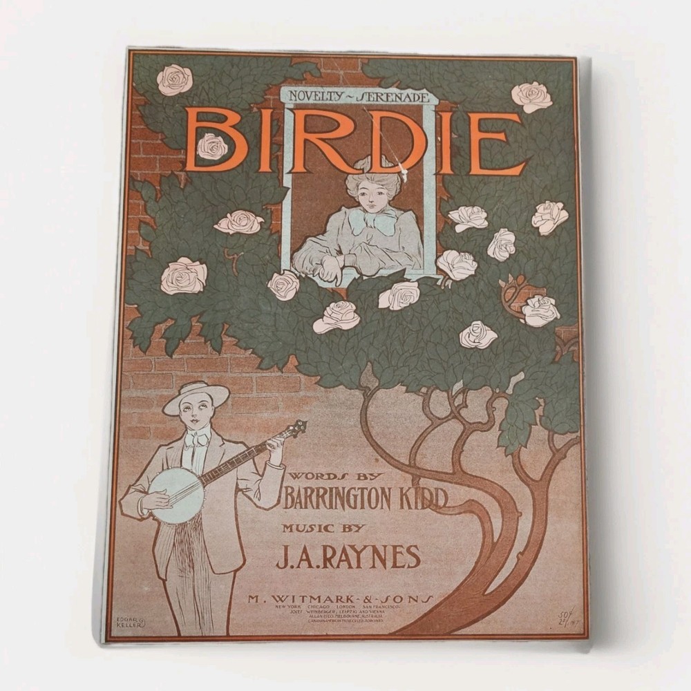 Antique Birdie Sheet Music Cover Art Nouveau 1900s Witmark Perfect For Framing