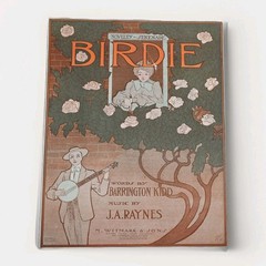 Antique Birdie Sheet Music Cover Art Nouveau 1900s Witmark Perfect For Framing
