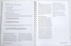 Set 4 String Player Orchestra Fiddlers Philharmonic Encore Cello Bass Teachers