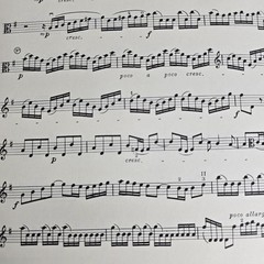Telemann Concerto In G Major Viola Piano Sheet Music Intl Music Co Vintage