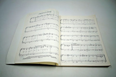 Vintage 1976 110 Platinum Pops Song Book ~ Guitar Piano Vocals Organ Chords PB
