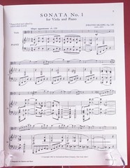 Braham&rsquo;s Sonata F Minor Opus 120 E Flat Major Viola Piano Lot of 2 PB Books IMC