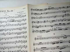 Joseph Haydn Sheet Music Piano Trio No. 20 in D Major Violin Violincello Diletto
