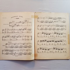 Austrian Song Meritorious Melodies Standard Works for the Pianoforte Sheet Music