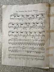 Beautiful Blue Danube By Strauss Antique Piano Sheet Music 1902
