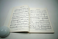 Vintage 1976 110 Platinum Pops Song Book ~ Guitar Piano Vocals Organ Chords PB