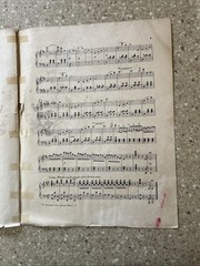 Beautiful Blue Danube By Strauss Antique Piano Sheet Music 1902