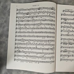 Schubert Symphony No.8 Unfinished Clarinet I Part A & Bb Lucks Music c.1980s USA