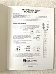 The Ultimate Guitar Scale Chart: 120 Most Commonly Used Scales Hal Leonard 2000