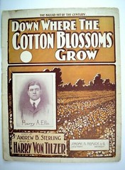 1901 Down Where The Cotton Blossoms Grow, Harry Von Tilzer, Harry A. Ellis Sheet