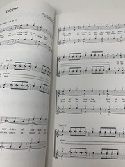 John Denver greatest hits sheet music Book- 1976 Recorder (solos Or Duets)-RARE