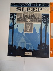 LOT 1920s Sheet Music SLEEP Fred Waring DEW-DEW-DEWY DAY Irving Berlin Ukulele