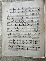 Beautiful Blue Danube By Strauss Antique Piano Sheet Music 1902