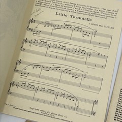 10 Antique Sheet Music 1930’s Art Music Song Litho Waltz Piano Hymn Blues