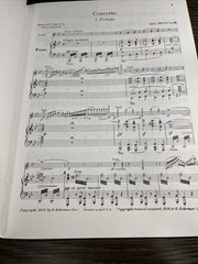 G. Schirmer Bruch Concerto in G minor Violin and Piano Sheet Music Vol. 217