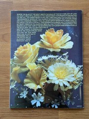 Vintage Sheet Music – 1983 The Greatest Waltzes, EZ Play Today No. 115