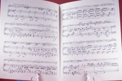 Braham&rsquo;s Sonata F Minor Opus 120 E Flat Major Viola Piano Lot of 2 PB Books IMC
