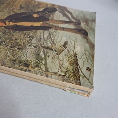 Lot 2 ROCKY MOUNTAIN HIGH, Back Home Songbook John Denver Cherry Lane Music Co