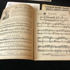 Rags Waltzes Blue Skies Stardust Samba Summertime Sheet Music Lot