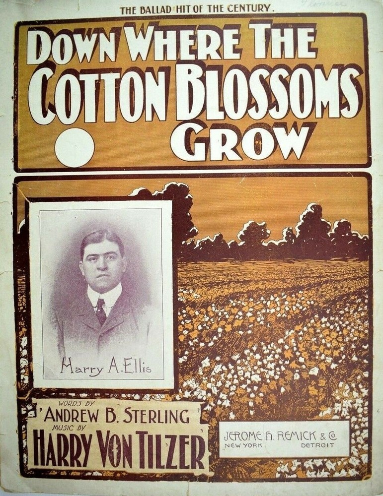1901 Down Where The Cotton Blossoms Grow, Harry Von Tilzer, Harry A. Ellis Sheet