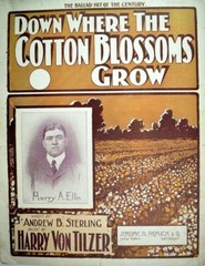 1901 Down Where The Cotton Blossoms Grow, Harry Von Tilzer, Harry A. Ellis Sheet
