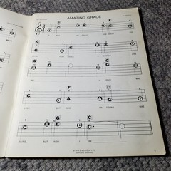 60 of the World&rsquo;s Easiest to Play Songs with 3 Chords Songbook P/V/G Organ Piano