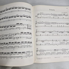 Mozart Sonatas & Fantasies For The Piano Theodore Presser Songbook Music Vtg