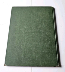 Irish Songs and Airs for Children to Play and Sing 1936 Folk Songbook