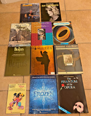 Lot of 11 Hal Leonard Music Bks~ Rodgers & Hart Musical Anthology+Disney+Frozen+