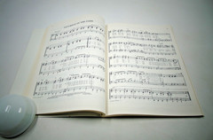 Vintage 1976 110 Platinum Pops Song Book ~ Guitar Piano Vocals Organ Chords PB