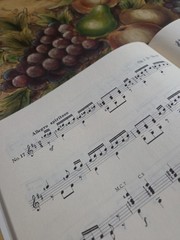 Mauro Giuliani 25 Etudes For Classical GuitarRare Book,Zen-On Series Jap Edition