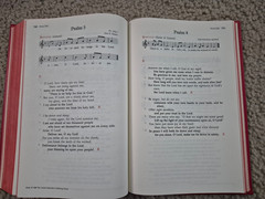 THE UNITED METHODIST HYMNAL Book of United Methodist Worship Red Hardcover 1989