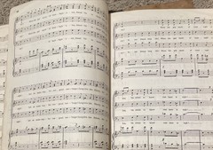 1881 The Mascot – Audran – Rare Original Sheet Music