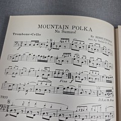 Mountain Polka Orchestra Arrangement Piano Guitar Drums Bass Cello Trombone