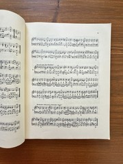 Sheet Music Bach 1941 371 Harmonized Chorales 69 Melodies Riemenschneider S