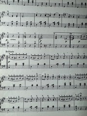 Beautiful Blue Danube Piano Solo Sheet Music By Johann Strauss