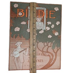 Antique Birdie Sheet Music Cover Art Nouveau 1900s Witmark Perfect For Framing